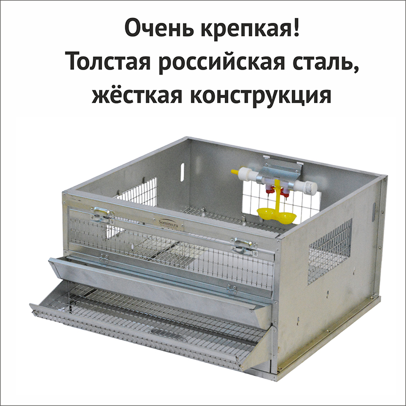 Клетки для перепелов купить в Москве недорого, Цена от производителя